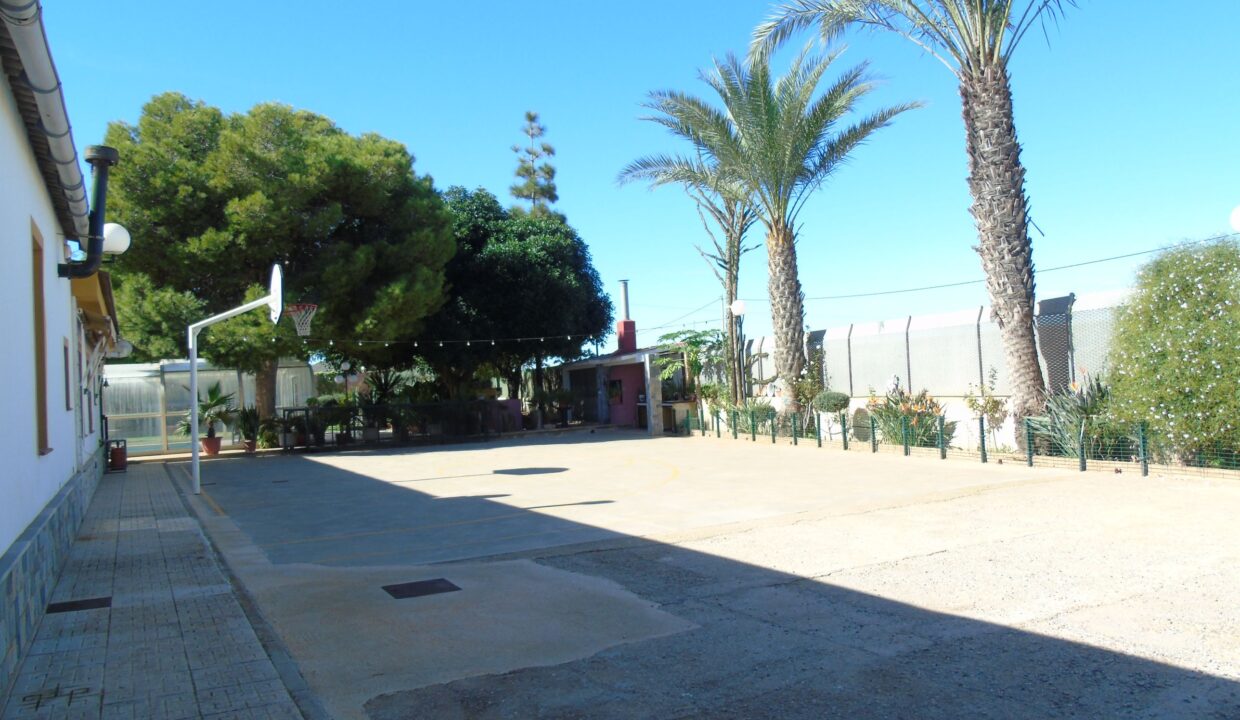 resized_DSC00253