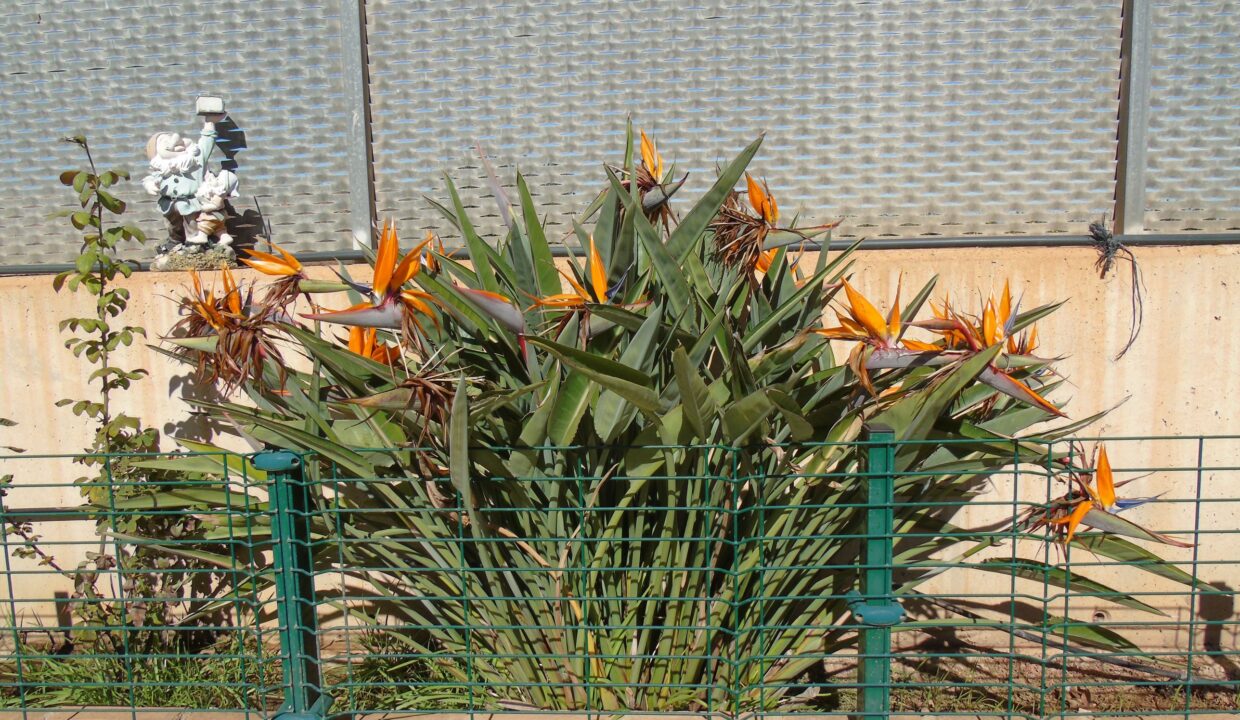 resized_DSC00255