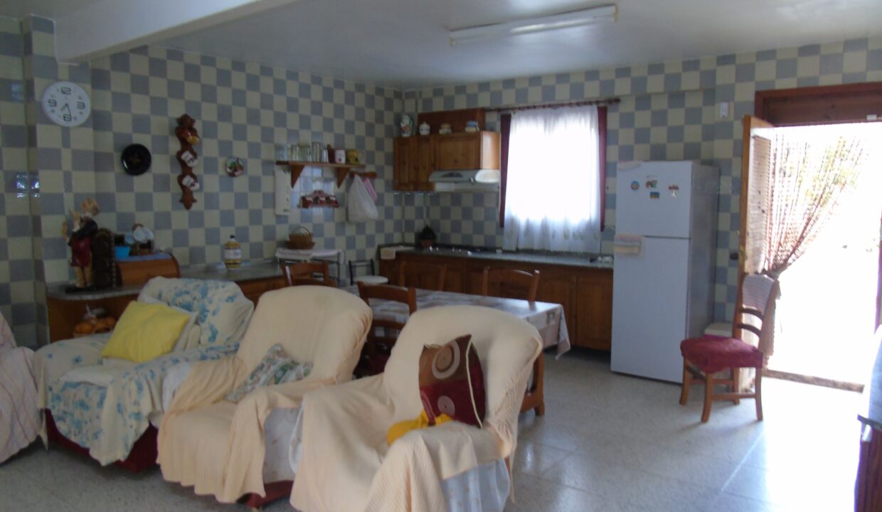 resized_DSC00666