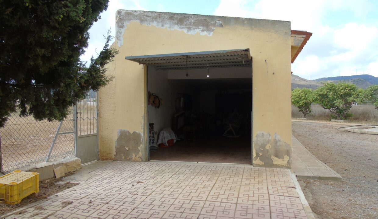 resized_DSC00673